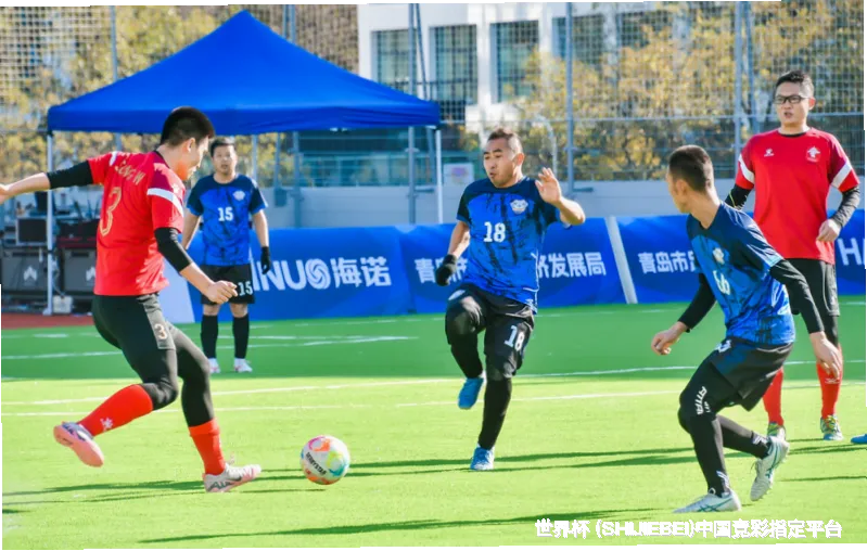 核心团队与专业资质
