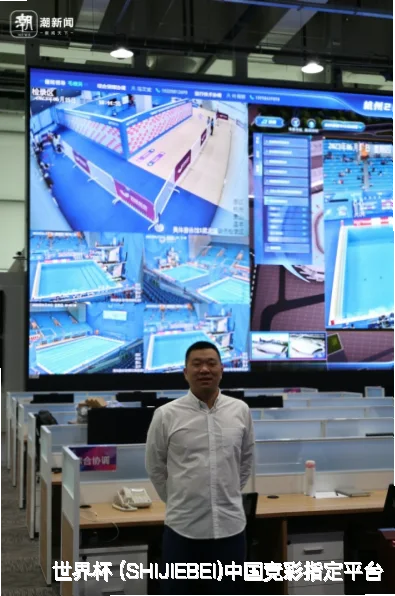 历史命中率展示